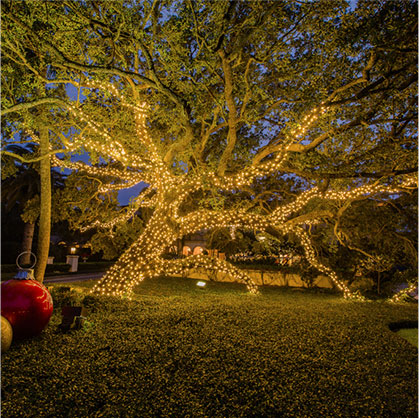 Full Moon Christmas Light Installation St Simons Island GA Outdoor Tree